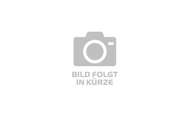 Riese und Müller Load4 75 touring - 20/26 Zoll 725Wh 11K Lastenrad - peanut matt